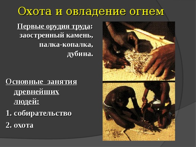 Охота и овладение огнем Первые орудия труда : заостренный камень, палка-копалка, дубина. Основные занятия древнейших людей: 1. собирательство 2. охота 