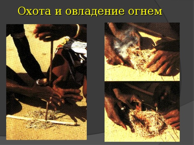 Охота и овладение огнем 