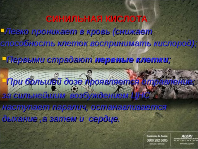 СИНИЛЬНАЯ КИСЛОТА Легко проникает в кровь (снижает способность клеток воспринимать кислород) ;    Первыми страдают нервные клетки ; При большой дозе проявляется отравление: за сильнейшим  возбуждением ЦНС наступает паралич, останавливается дыхание ,а затем и сердце. 