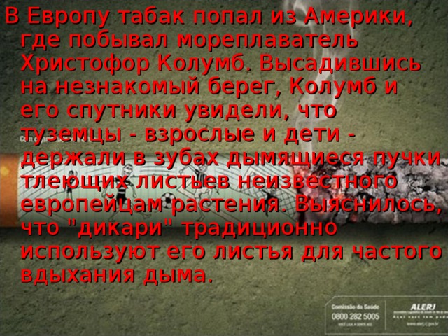 В Европу табак попал из Америки, где побывал мореплаватель Христофор Колумб. Высадившись на незнакомый берег, Колумб и его спутники увидели, что туземцы - взрослые и дети - держали в зубах дымящиеся пучки тлеющих листьев неизвестного европейцам растения. Выяснилось, что 