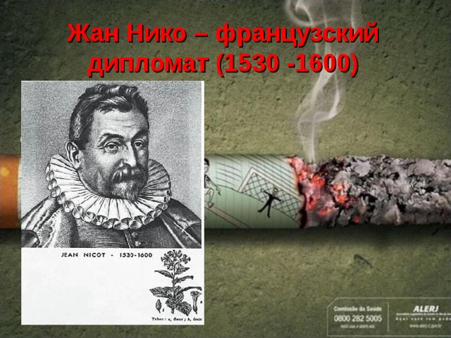 Жан Нико – французский дипломат (1530 -1600) 