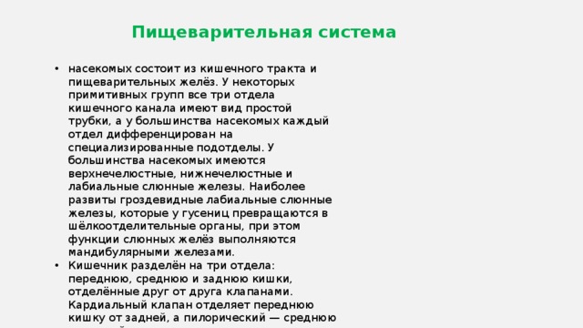 Пищеварительная система насекомых состоит из кишечного тракта и пищеварительных желёз. У некоторых примитивных групп все три отдела кишечного канала имеют вид простой трубки, а у большинства насекомых каждый отдел дифференцирован на специализированные подотделы. У большинства насекомых имеются верхнечелюстные, нижнечелюстные и лабиальные слюнные железы. Наиболее развиты гроздевидные лабиальные слюнные железы, которые у гусениц превращаются в шёлкоотделительные органы, при этом функции слюнных желёз выполняются мандибулярными железами. Кишечник разделён на три отдела: переднюю, среднюю и заднюю кишки, отделённые друг от друга клапанами. Кардиальный клапан отделяет переднюю кишку от задней, а пилорический — среднюю от задней. 