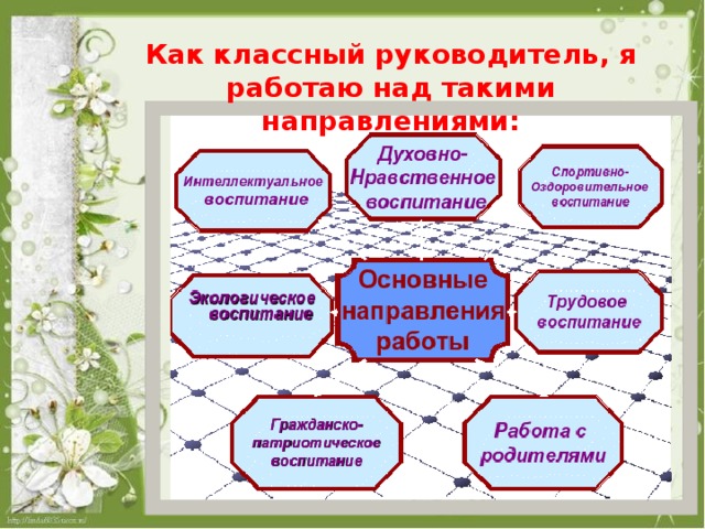 Как классный руководитель, я работаю над такими направлениями: 