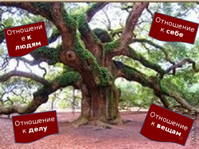 Отношение к себе  Отношение к вещам Отношение  к людям Отношение к делу   