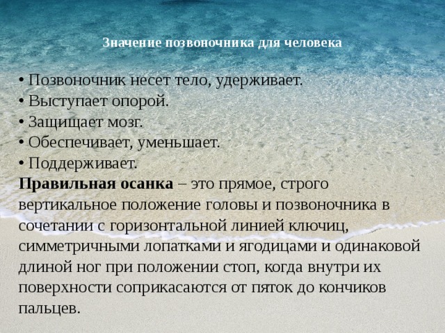  Значение позвоночника для человека   • Позвоночник несет тело, удерживает. • Выступает опорой. • Защищает мозг. • Обеспечивает, уменьшает. • Поддерживает. Правильная осанка – это прямое, строго вертикальное положение головы и позвоночника в сочетании с горизонтальной линией ключиц, симметричными лопатками и ягодицами и одинаковой длиной ног при положении стоп, когда внутри их поверхности соприкасаются от пяток до кончиков пальцев. 