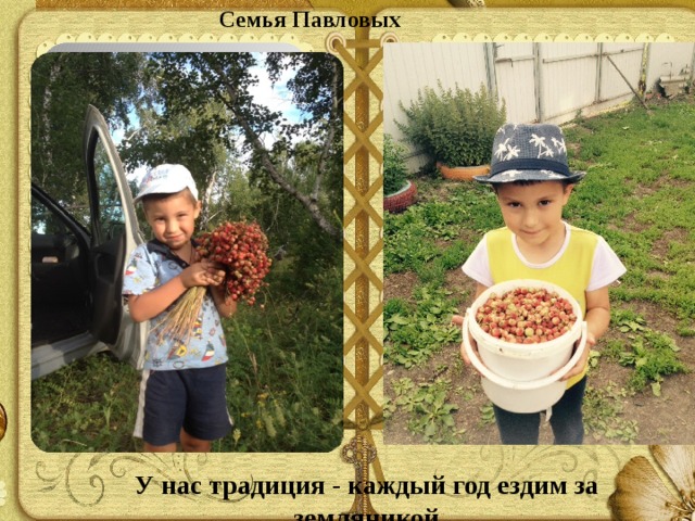 Семья Павловых У нас традиция - каждый год ездим за земляникой 