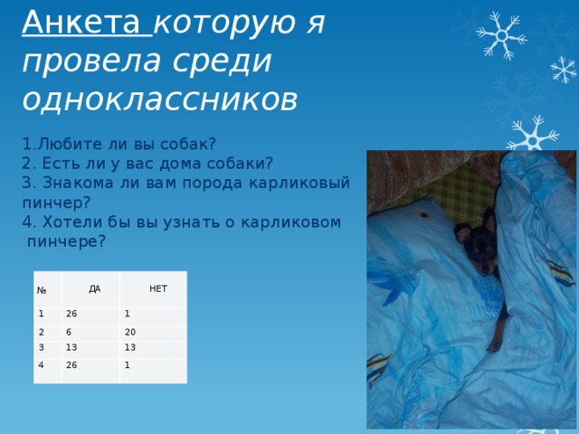 Анкета которую я провела среди одноклассников   1.Любите ли вы собак? 2. Есть ли у вас дома собаки? 3. Знакома ли вам порода карликовый пинчер? 4. Хотели бы вы узнать о карликовом  пинчере?  № 1   26 2  ДА 1 3  НЕТ 6 4 20 13 13 26 1 