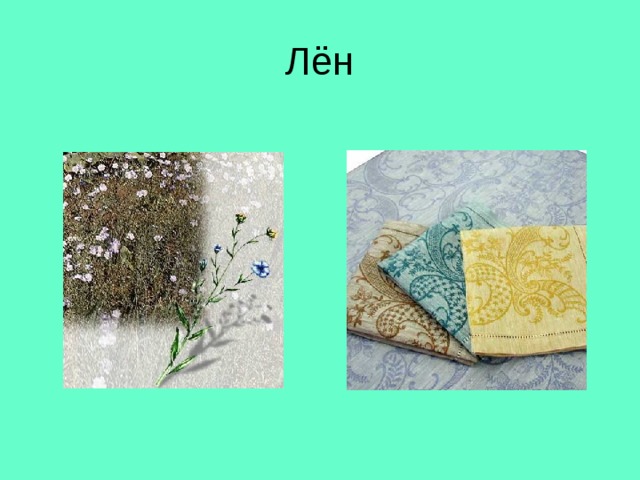 Лён 