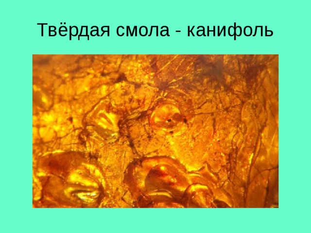 Твёрдая смола - канифоль 