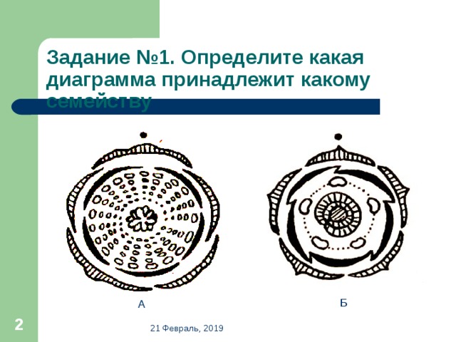 Задание №1. Определите какая диаграмма принадлежит какому семейству Б А  21 Февраль, 2019 