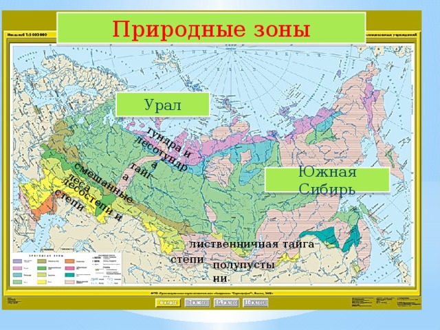 тундра и лесотундра тайга смешанные леса лесостепи и степи Природные зоны Урал Южная Сибирь лиственничная тайга степи полупустыни 