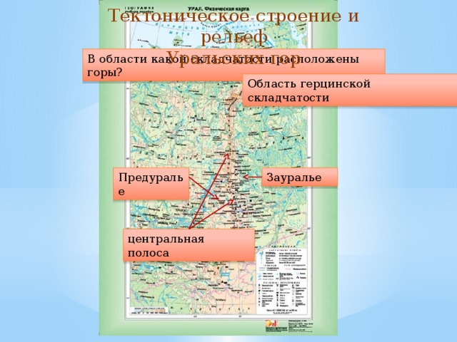 Тектоническое строение и рельеф Уральских гор В области какой складчатости расположены горы? Область герцинской складчатости Предуралье Зауралье центральная полоса 