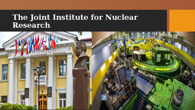 The Joint Institute for Nuclear Research 