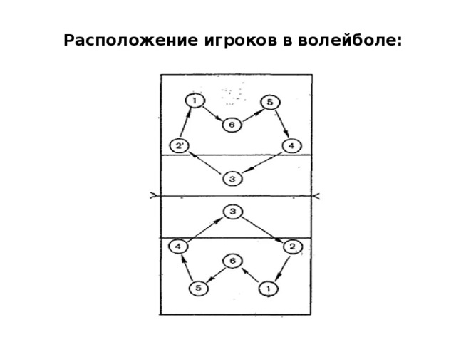 Расположение игроков в волейболе:   