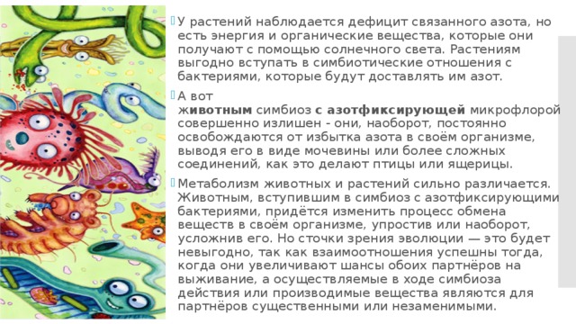 У растений наблюдается дефицит связанного азота, но есть энергия и органические вещества, которые они получают с помощью солнечного света. Растениям выгодно вступать в симбиотические отношения с бактериями, которые будут доставлять им азот. А вот ж ивотным  симбиоз  с   азотфиксирующей  микрофлорой совершенно излишен - они, наоборот, постоянно освобождаются от избытка азота в своём организме, выводя его в виде мочевины или более сложных соединений, как это делают птицы или ящерицы. Метаболизм животных и растений сильно различается. Животным, вступившим в симбиоз с азотфиксирующими бактериями, придётся изменить процесс обмена веществ в своём организме, упростив или наоборот, усложнив его. Но сточки зрения эволюции — это будет невыгодно, так как взаимоотношения успешны тогда, когда они увеличивают шансы обоих партнёров на выживание, а осуществляемые в ходе симбиоза действия или производимые вещества являются для партнёров существенными или незаменимыми. 