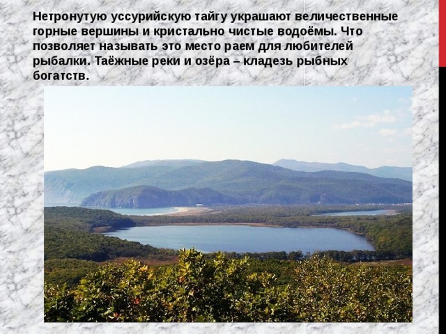 Нетронутую уссурийскую тайгу украшают величественные горные вершины и кристально чистые водоёмы. Что позволяет называть это место раем для любителей рыбалки. Таёжные реки и озёра – кладезь рыбных богатств. 