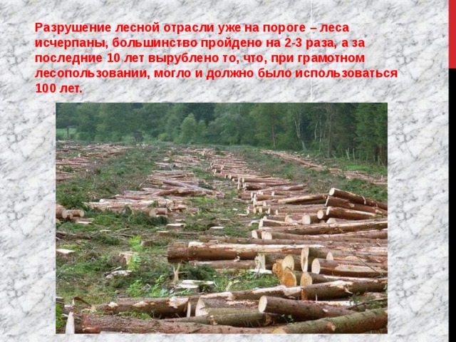 Разрушение лесной отрасли уже на пороге – леса исчерпаны, большинство пройдено на 2-3 раза, а за последние 10 лет вырублено то, что, при грамотном лесопользовании, могло и должно было использоваться 100 лет. 
