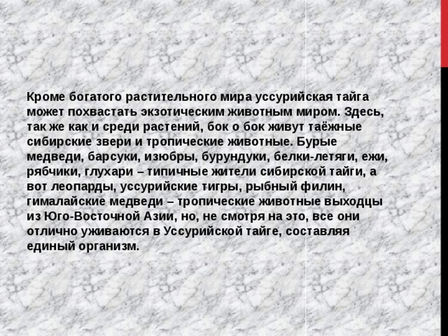 Кроме богатого растительного мира уссурийская тайга может похвастать экзотическим животным миром. Здесь, так же как и среди растений, бок о бок живут таёжные сибирские звери и тропические животные. Бурые медведи, барсуки, изюбры, бурундуки, белки-летяги, ежи, рябчики, глухари – типичные жители сибирской тайги, а вот леопарды, уссурийские тигры, рыбный филин, гималайские медведи – тропические животные выходцы из Юго-Восточной Азии, но, не смотря на это, все они отлично уживаются в Уссурийской тайге, составляя единый организм. 