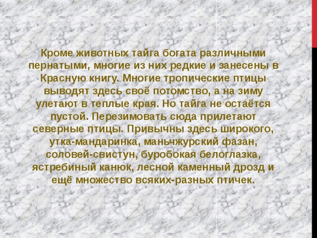 Кроме животных тайга богата различными пернатыми, многие из них редкие и занесены в Красную книгу. Многие тропические птицы выводят здесь своё потомство, а на зиму улетают в теплые края. Но тайга не остаётся пустой. Перезимовать сюда прилетают северные птицы. Привычны здесь широкого, утка-мандаринка, маньчжурский фазан, соловей-свистун, буробокая белоглазка, ястребиный канюк, лесной каменный дрозд и ещё множество всяких-разных птичек. 