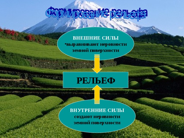 ВНЕШНИЕ СИЛЫ выравнивают неровности земной поверхности РЕЛЬЕФ ВНУТРЕННИЕ СИЛЫ создают неровности земной поверхности 