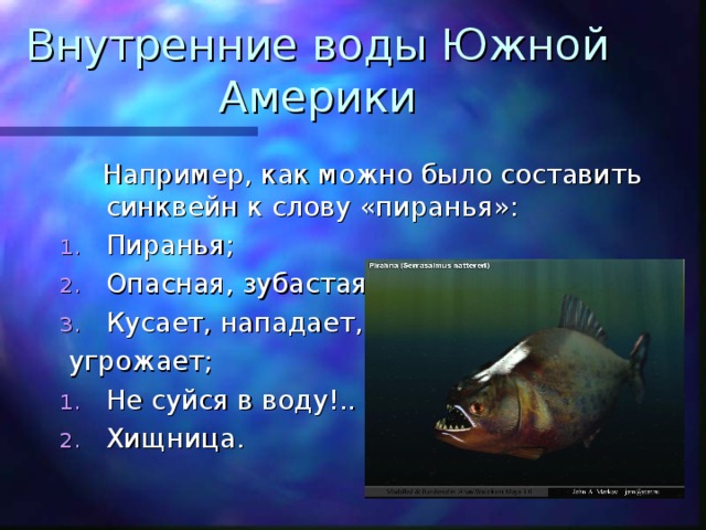 Внутренние воды Южной Америки  Например, как можно было составить синквейн к слову «пиранья»: Пиранья; Опасная, зубастая; Кусает, нападает,  угрожает; Не суйся в воду!.. Хищница. 
