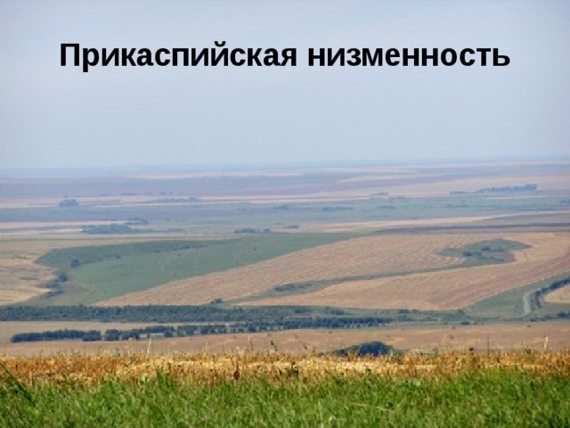 Прикаспийская низменность 