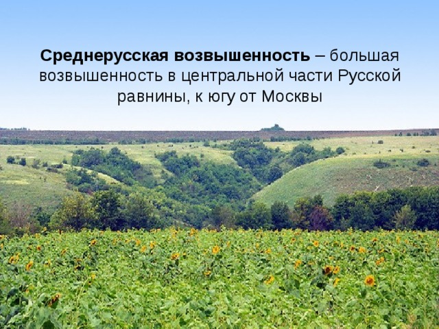 Среднерусская возвышенность – большая возвышенность в центральной части Русской равнины, к югу от Москвы 