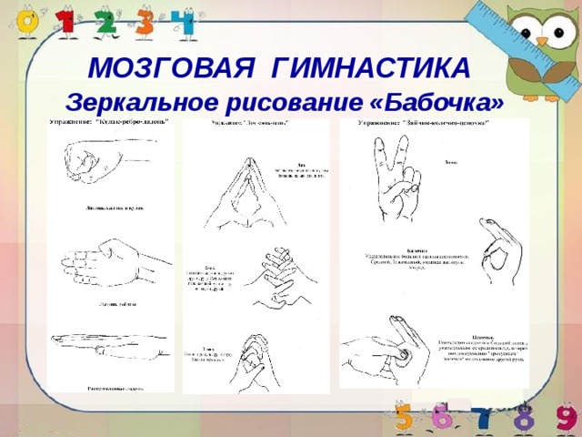 МОЗГОВАЯ ГИМНАСТИКА Зеркальное рисование «Бабочка» 