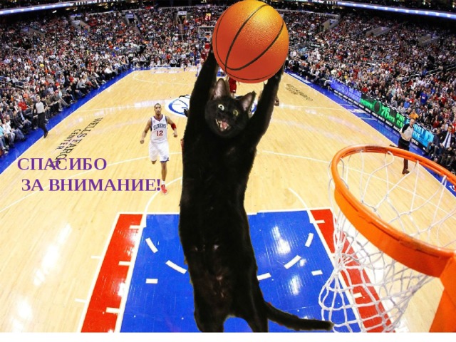 СПАСИБО  ЗА ВНИМАНИЕ! 