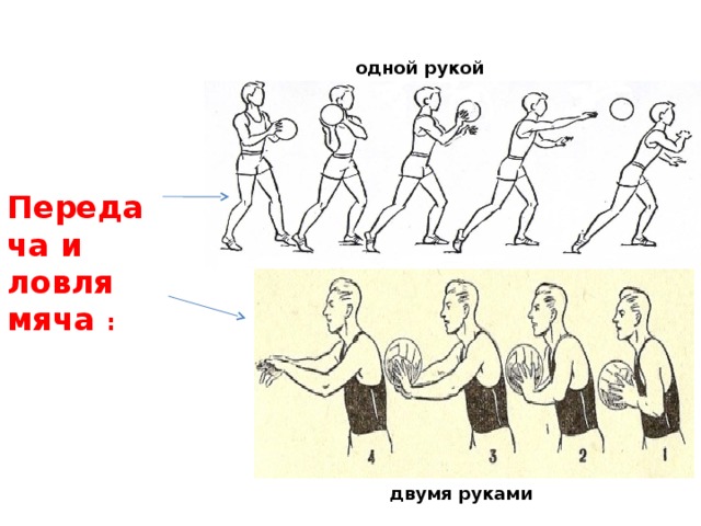 Передача и ловля мяча : одной рукой двумя руками 