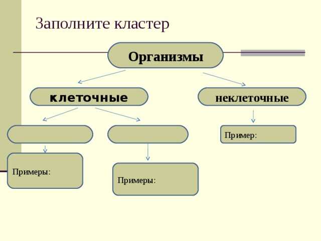 Заполните кластер Организмы клеточные неклеточные Пример: Примеры: Примеры: 
