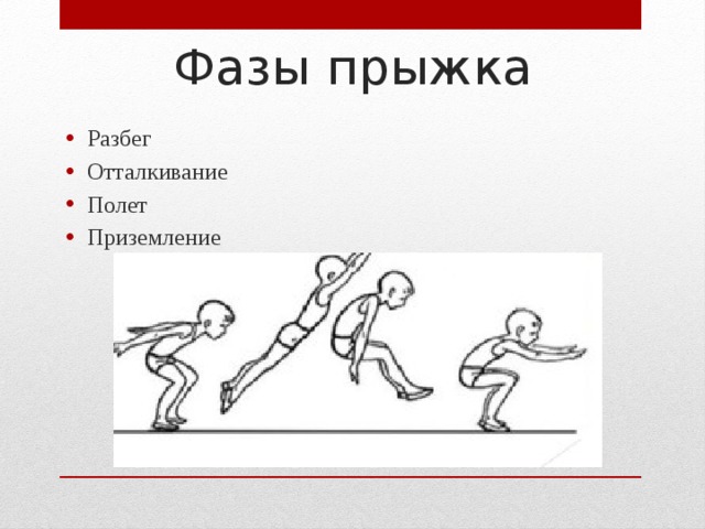 Фазы прыжка Разбег Отталкивание Полет Приземление 