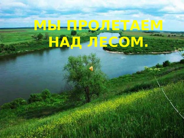 Мы пролетаем над лесом. 