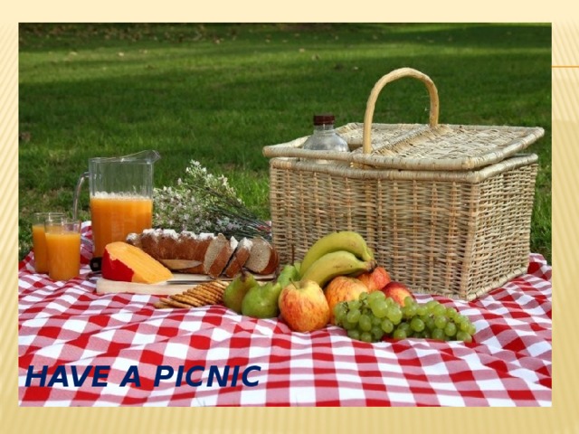 have a picnic 