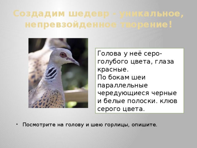 Создадим шедевр - уникальное, непревзойденное творение! Голова у неё серо-голубого цвета, глаза красные. По бокам шеи параллельные чередующиеся черные и белые полоски. клюв серого цвета. Посмотрите на голову и шею горлицы, опишите. 
