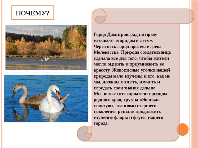 ПОЧЕМУ? Город Димитровград по праву называют «городом в лесу». Через весь город протекает река Мелекесска. Природа создательница сделала все для того, чтобы жители могли оценить и приумножить ее красоту. Живописные уголки нашей природы мало изучены и кто, как не мы, должны познать, изучить и передать свои знания дальше. Мы, юные исследователи природы родного края, группа «Эврика», пользуясь знаниями старшего поколения, решили продолжить изучение флоры и фауны нашего города. 