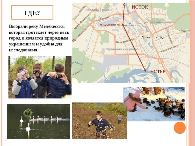 ИСТОК ГДЕ? Выбрали реку Мелекесска, которая протекает через весь город и является природным украшением и удобна для исследования. РЕКА МЕЛЕКЕССКА УСТЬЕ 