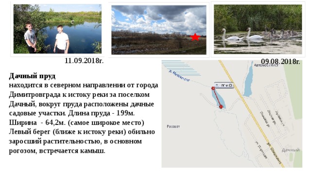 11.09.2018г. 09.08.2018г. Дачный пруд находится в северном направлении от города Димитровграда к истоку реки за поселком Дачный, вокруг пруда расположены дачные садовые участки. Длина пруда - 199м. Ширина - 64,2м. (самое широкое место) Левый берег (ближе к истоку реки) обильно заросший растительностью, в основном рогозом, встречается камыш. 