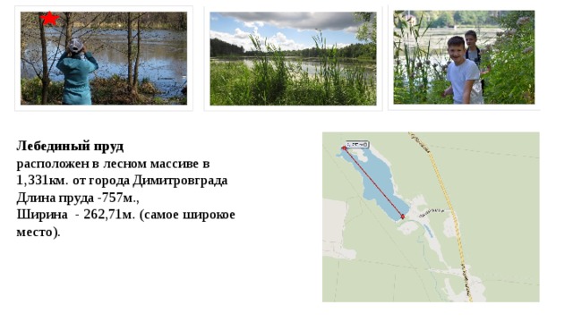 Лебединый пруд расположен в лесном массиве в 1,331км. от города Димитровграда Длина пруда -757м., Ширина - 262,71м. (самое широкое место). 