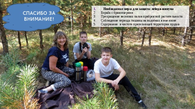 СПАСИБО ЗА ВНИМАНИЕ! Лебединый пруд Необходимые меры для защиты лебедя-шипуна Борьба с браконьерами. Прекращение весенних палов прибрежной растительности . Соблюдение периода тишины на водоёмах в мае-июне. Содержание в чистоте прилегающей территории прудов. 