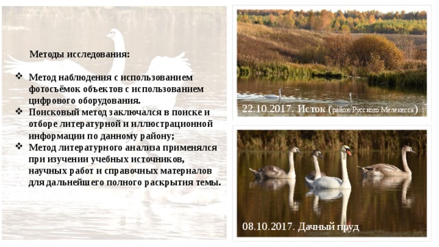 Методы исследования: Метод наблюдения с использованием фотосъёмок объектов с использованием цифрового оборудования. Поисковый метод заключался в поиске и отборе литературной и иллюстрационной информации по данному району; Метод литературного анализа применялся при изучении учебных источников, научных работ и справочных материалов для дальнейшего полного раскрытия темы. 22.10.2017. Исток ( район Русского Мелекесса ) 08.10.2017. Дачный пруд 
