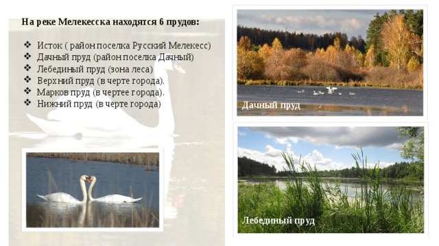 На реке Мелекесска находятся 6 прудов: Исток ( район поселка Русский Мелекесс) Дачный пруд (район поселка Дачный) Лебединый пруд (зона леса) Верхний пруд (в черте города). Марков пруд (в чертее города). Нижний пруд (в черте города) Дачный пруд Лебединый пруд 