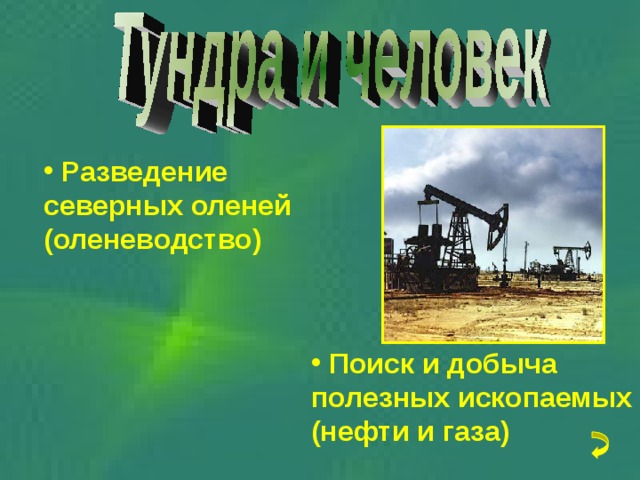  Разведение северных оленей (оленеводство)   Поиск и добыча полезных ископаемых (нефти и газа) 