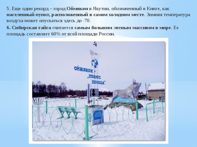 5. Еще один рекорд – город Оймякон в Якутии, обозначенный в Книге, как населенный пункт, расположенный в самом холодном месте . Зимняя температура воздуха может опускаться здесь до -70. 6. Сибирская тайга считается самым большим лесным массивом в мире . Ее площадь составляет 60% от всей площади России. 