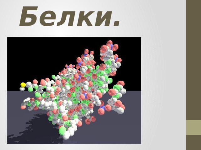 Белки. 