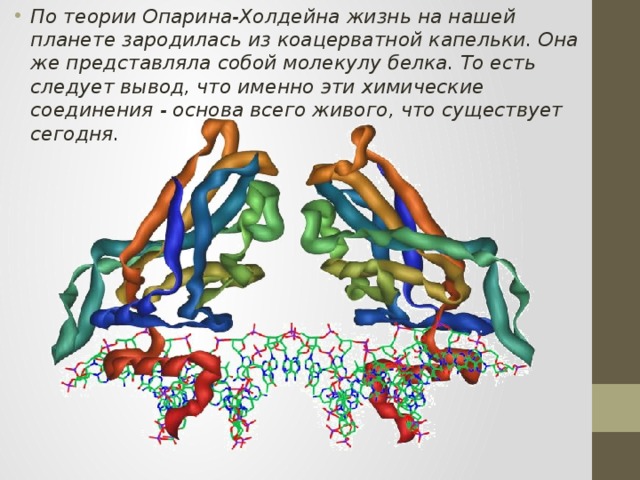 По теории Опарина-Холдейна жизнь на нашей планете зародилась из коацерватной капельки. Она же представляла собой молекулу белка. То есть следует вывод, что именно эти химические соединения - основа всего живого, что существует сегодня. 