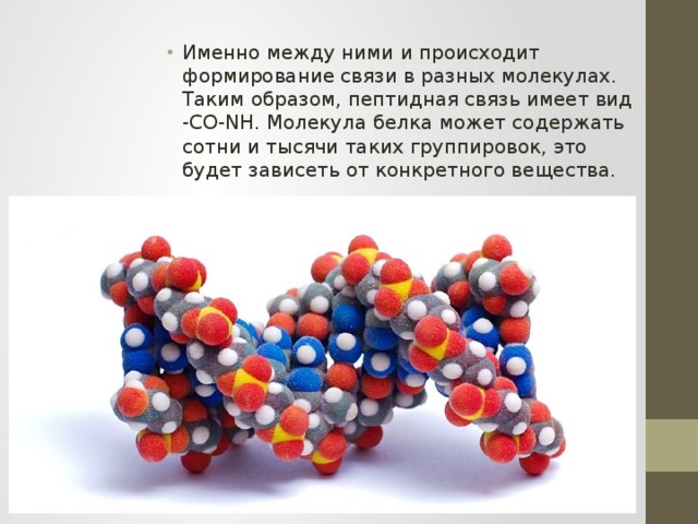 Именно между ними и происходит формирование связи в разных молекулах. Таким образом, пептидная связь имеет вид -СО-NH. Молекула белка может содержать сотни и тысячи таких группировок, это будет зависеть от конкретного вещества. 