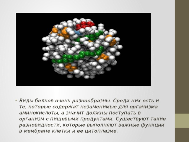 Виды белков очень разнообразны. Среди них есть и те, которые содержат незаменимые для организма аминокислоты, а значит должны поступать в организм с пищевыми продуктами. Существуют такие разновидности, которые выполняют важные функции в мембране клетки и ее цитоплазме. 