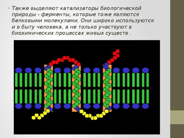 Также выделяют катализаторы биологической природы - ферменты, которые тоже являются белковыми молекулами. Они широко используются и в быту человека, а не только участвуют в биохимических процессах живых существ . 