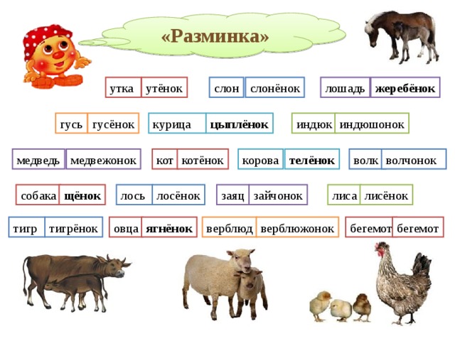  «Разминка» утка утёнок слон слонёнок лошадь жеребёнок курица цыплёнок гусь индюшонок индюк гусёнок волчонок корова телёнок волк кот медвежонок котёнок медведь лиса лисёнок собака щёнок лось  лосёнок заяц зайчонок верблюжонок бегемот бегемот тигр ягнёнок овца верблюд тигрёнок 